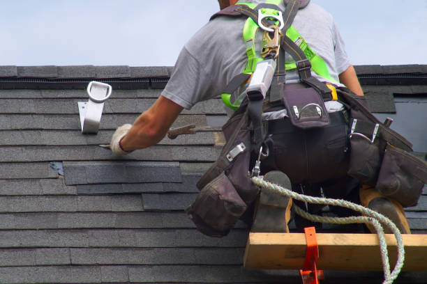 Best Local Roofing Companies  in Rogers City, MI
