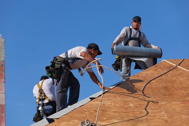 Best Roof Repair Services  in Rogers City, MI